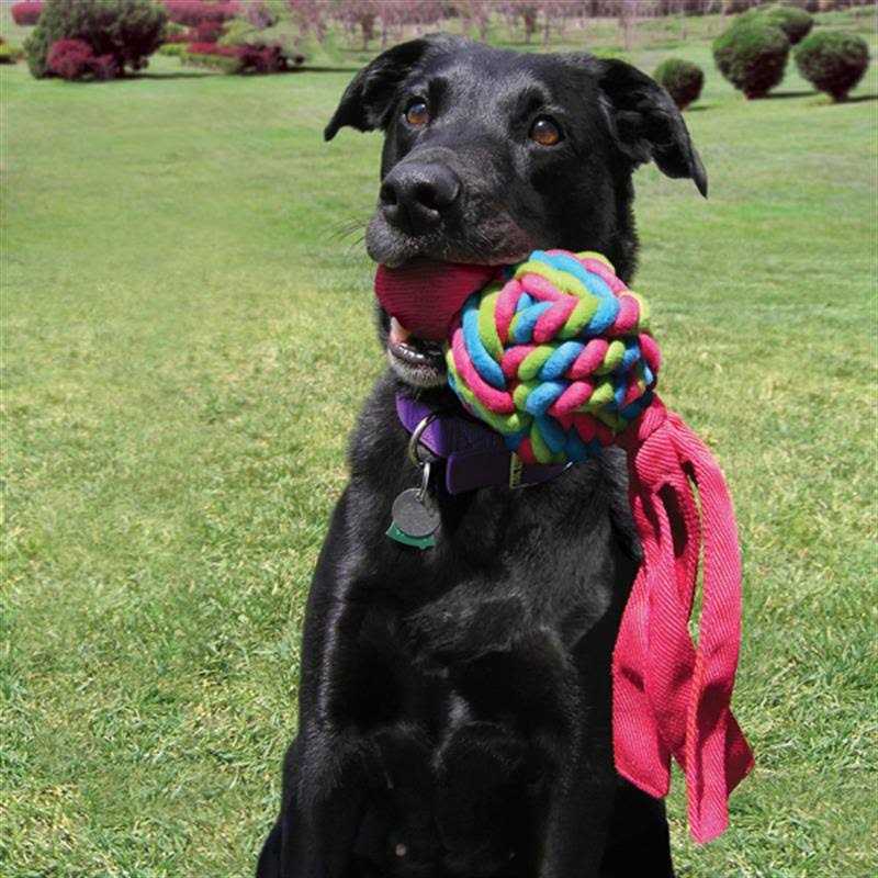 Dog Toy J3808