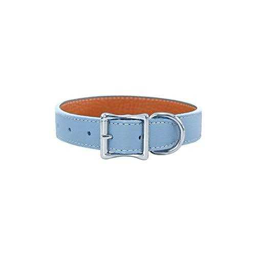 Leather Dog Collar J7974