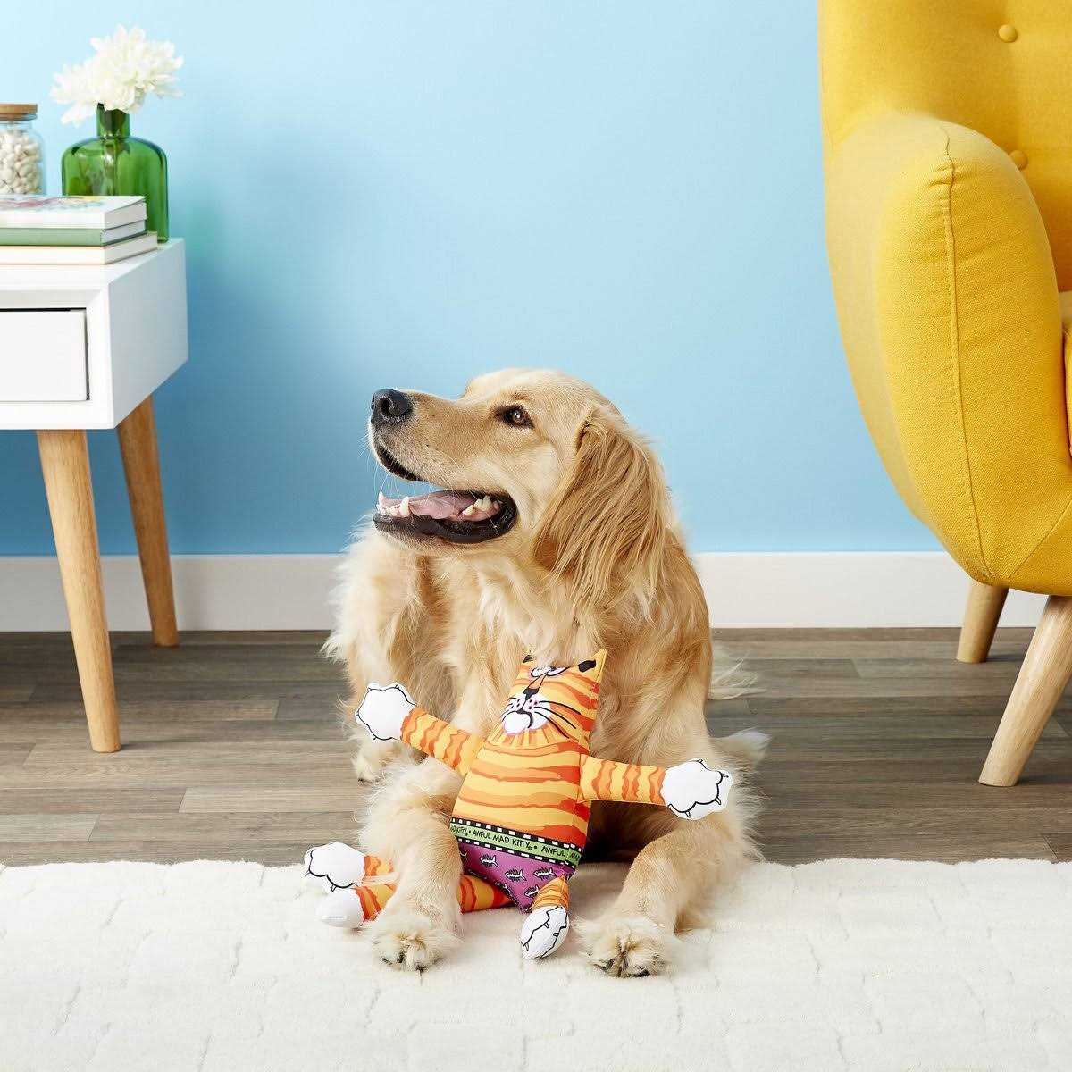 Dog Toy E65957