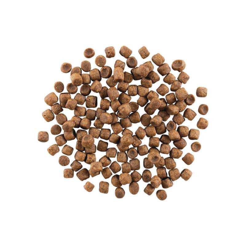 Grain Free Chicken Turkey Pet Food M321773