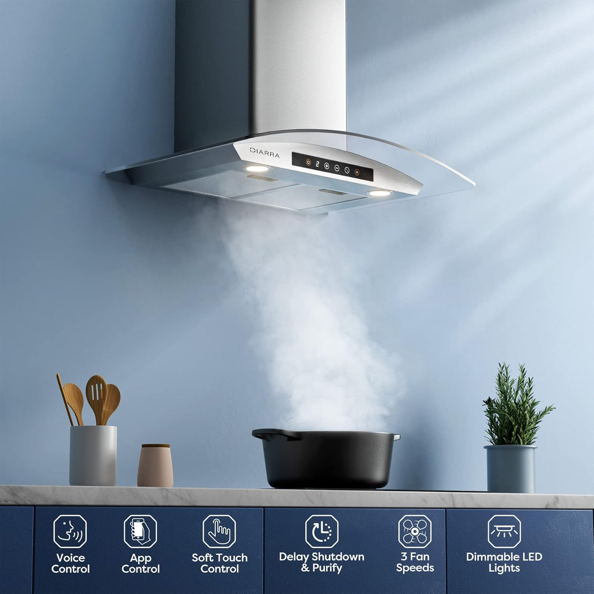 30 inch Wall Mount Stainless Steel Range Hood K1869
