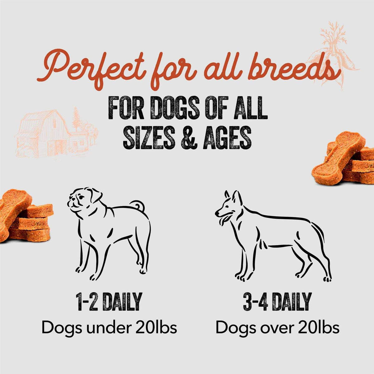 Sweet Potato Dog Bones I278694