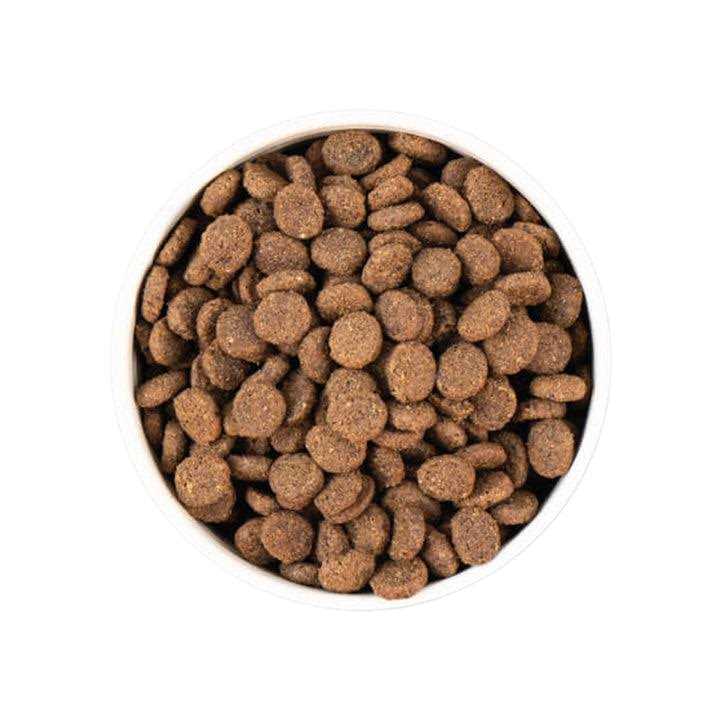 Unrefined Smoked Salmon Dry Dog Food H234302