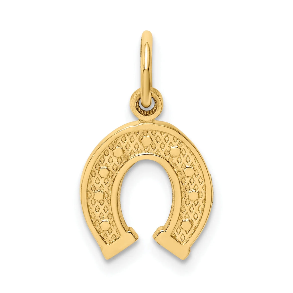 14K Yellow Gold Horseshoe Pendant Charm with 10K Yellow Gold Rope Chain Necklace 20'' F341921
