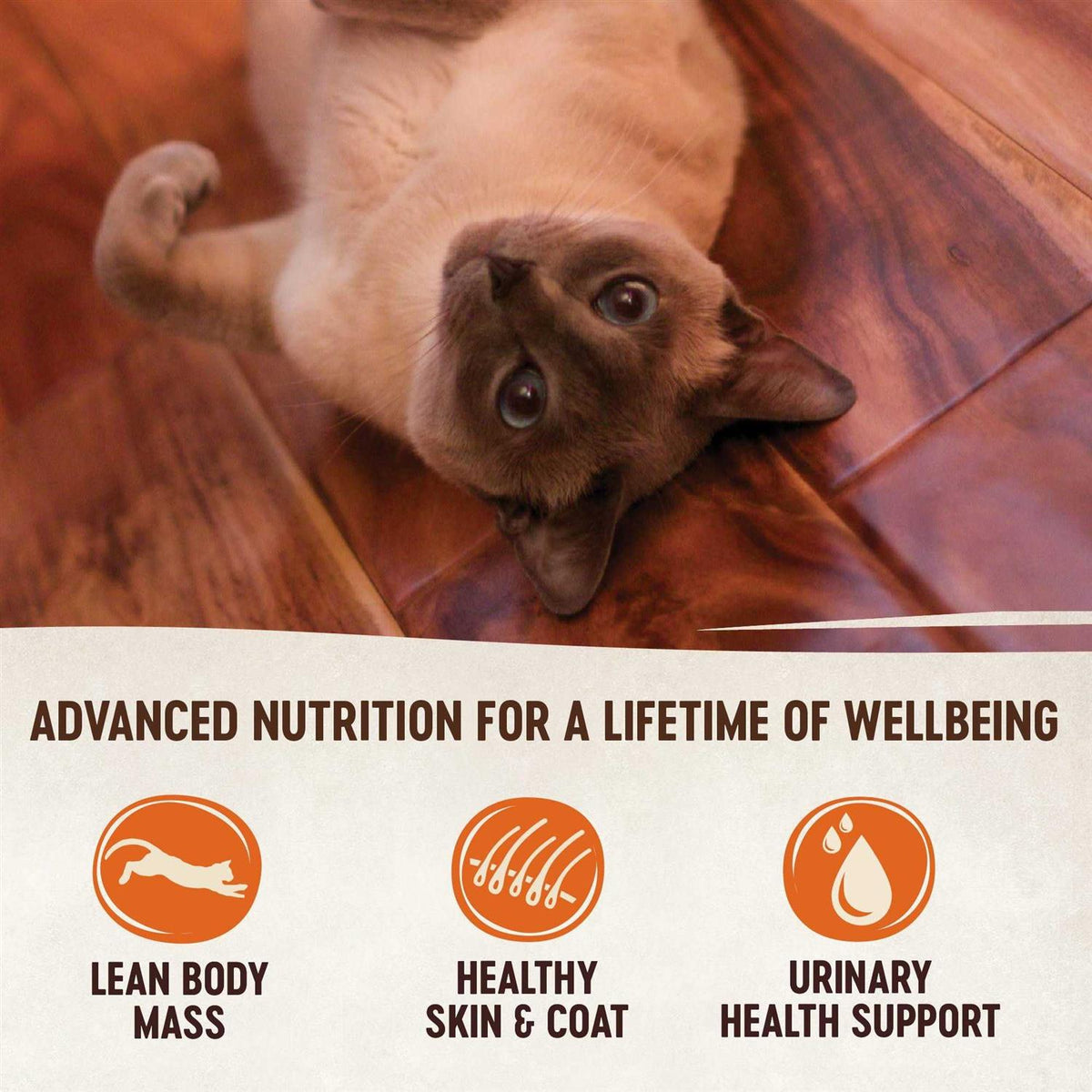 Grain Free Chicken & Chicken Liver Pate Wet Canned Cat Food E223