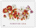 Tulips Postage Forever Stamps V683