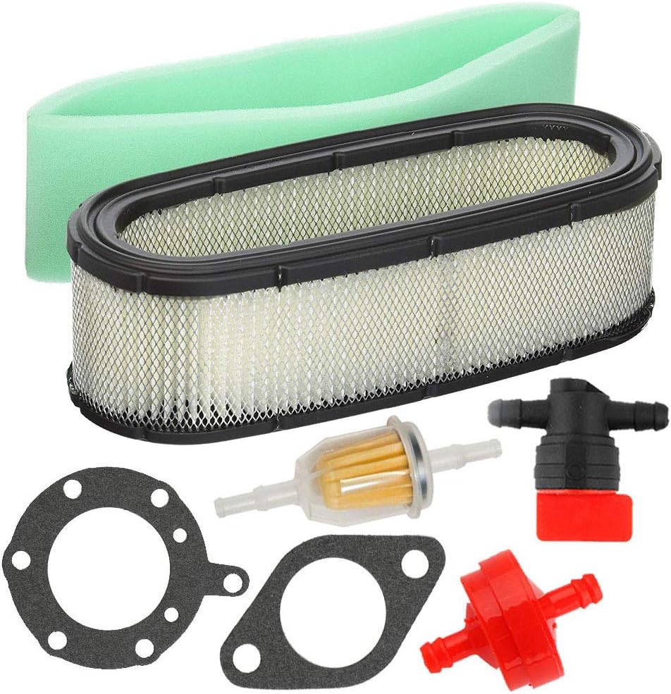 Carburetor with Air Filter and Fuel Filter B354