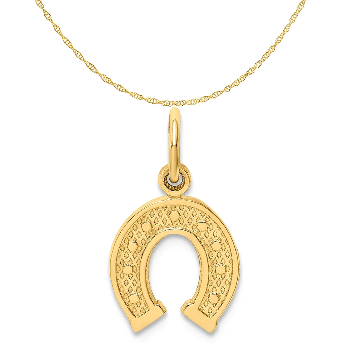 14K Yellow Gold Horseshoe Pendant Charm with 10K Yellow Gold Rope Chain Necklace 20'' F341921