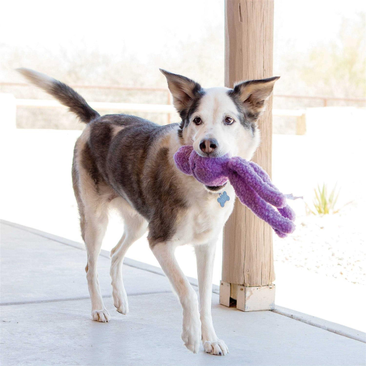 Dog Toy J3808