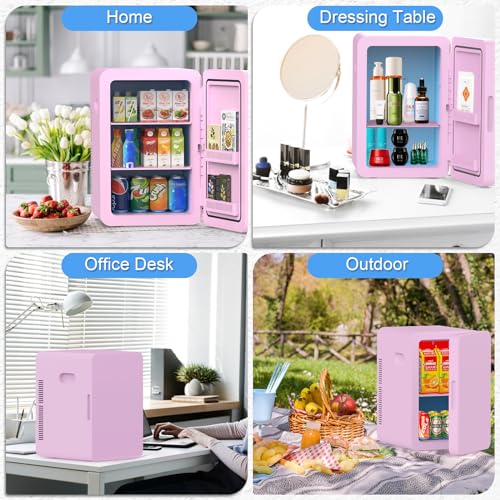 22L Mini Fridge Portable Cooler Warmer Compact Refrigerators with AC/DC Power N488