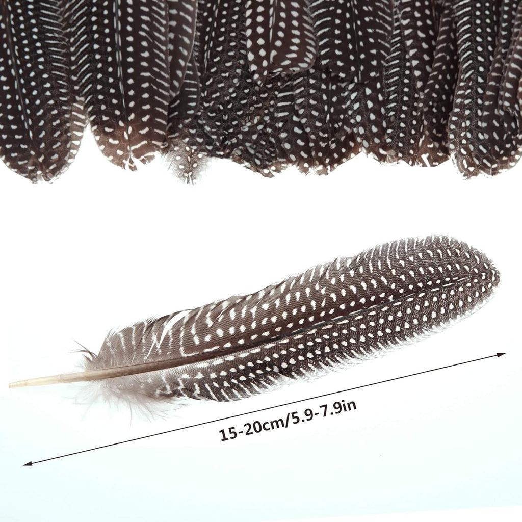 50 Pcs 15-20cm Natural Spotted Pheasant Feathers D518