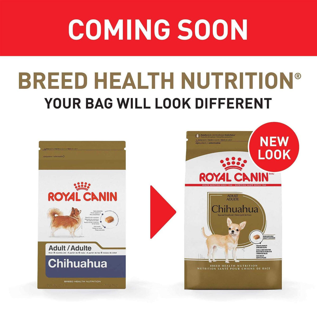 Chihuahua Adult Dry Dog Food M341