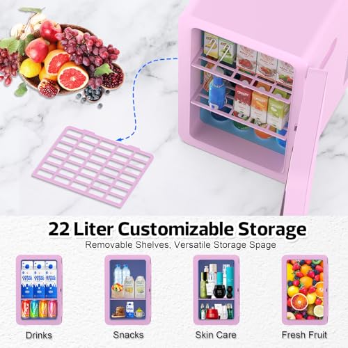 22L Mini Fridge Portable Cooler Warmer Compact Refrigerators with AC/DC Power N488