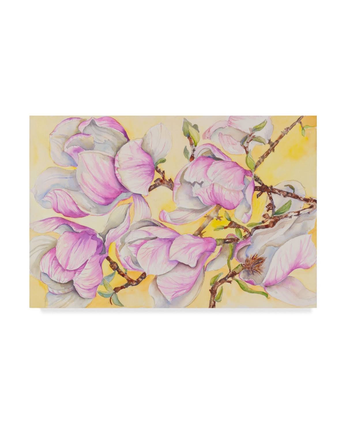 Tulip Tree Canvas V436