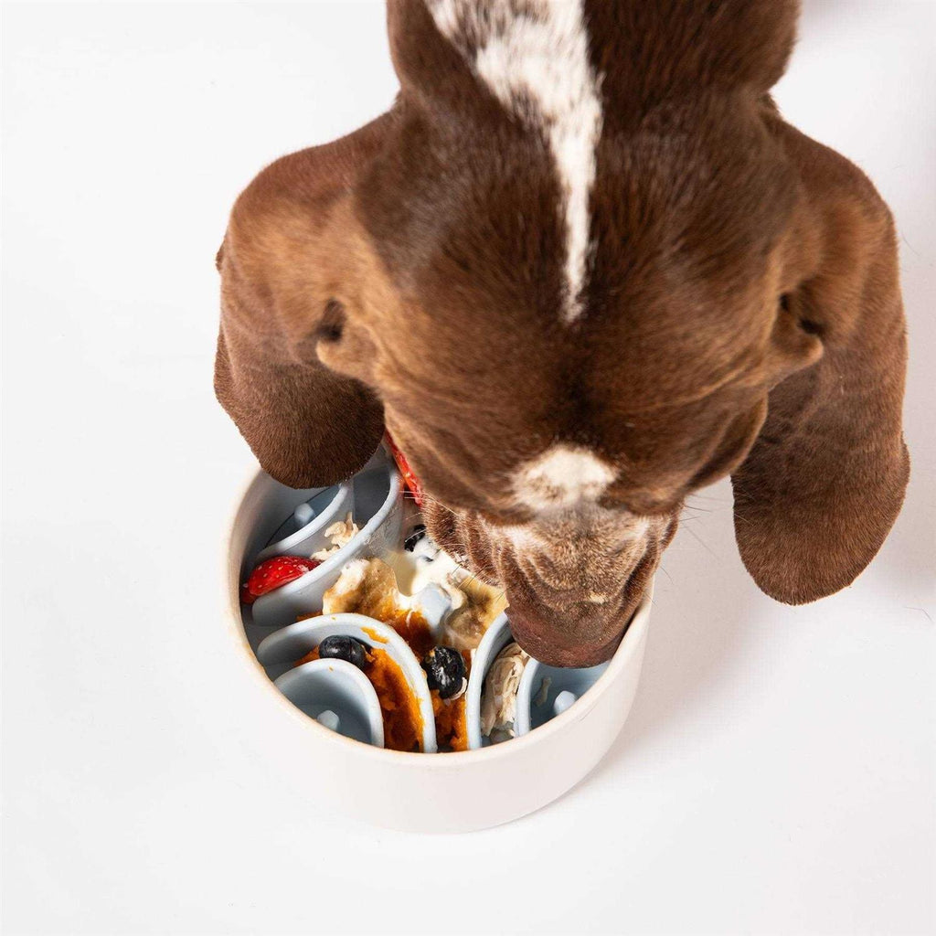 Silicone Bowl Insert Dog Feeding Mat K3804