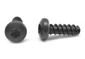 6 Lobe Pan Head Thread Rolling Screw Black Oxide Pk 10000 Q6793