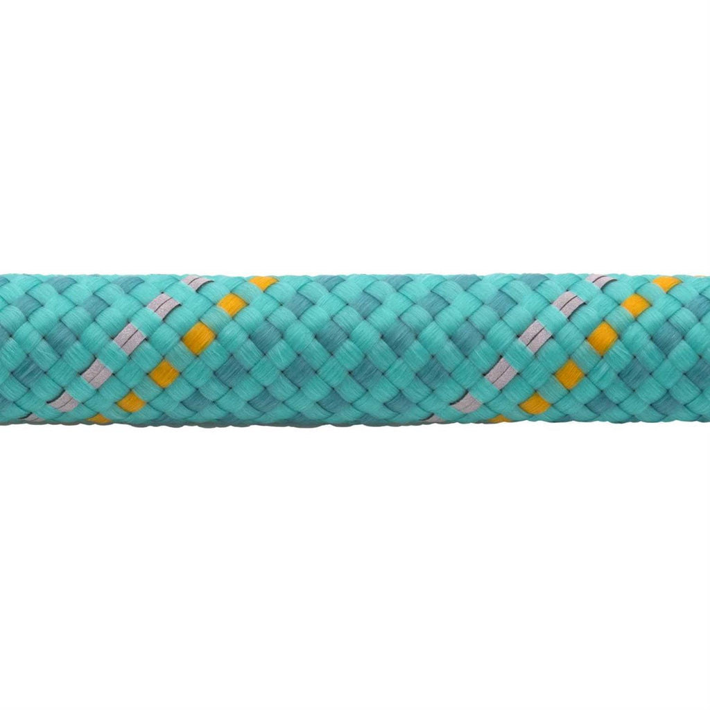 Leash N314