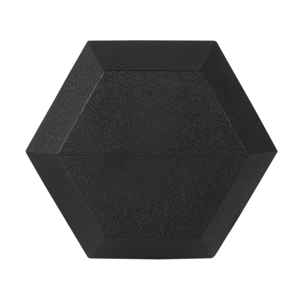 25lb Rubber Hex Dumbbell E1177