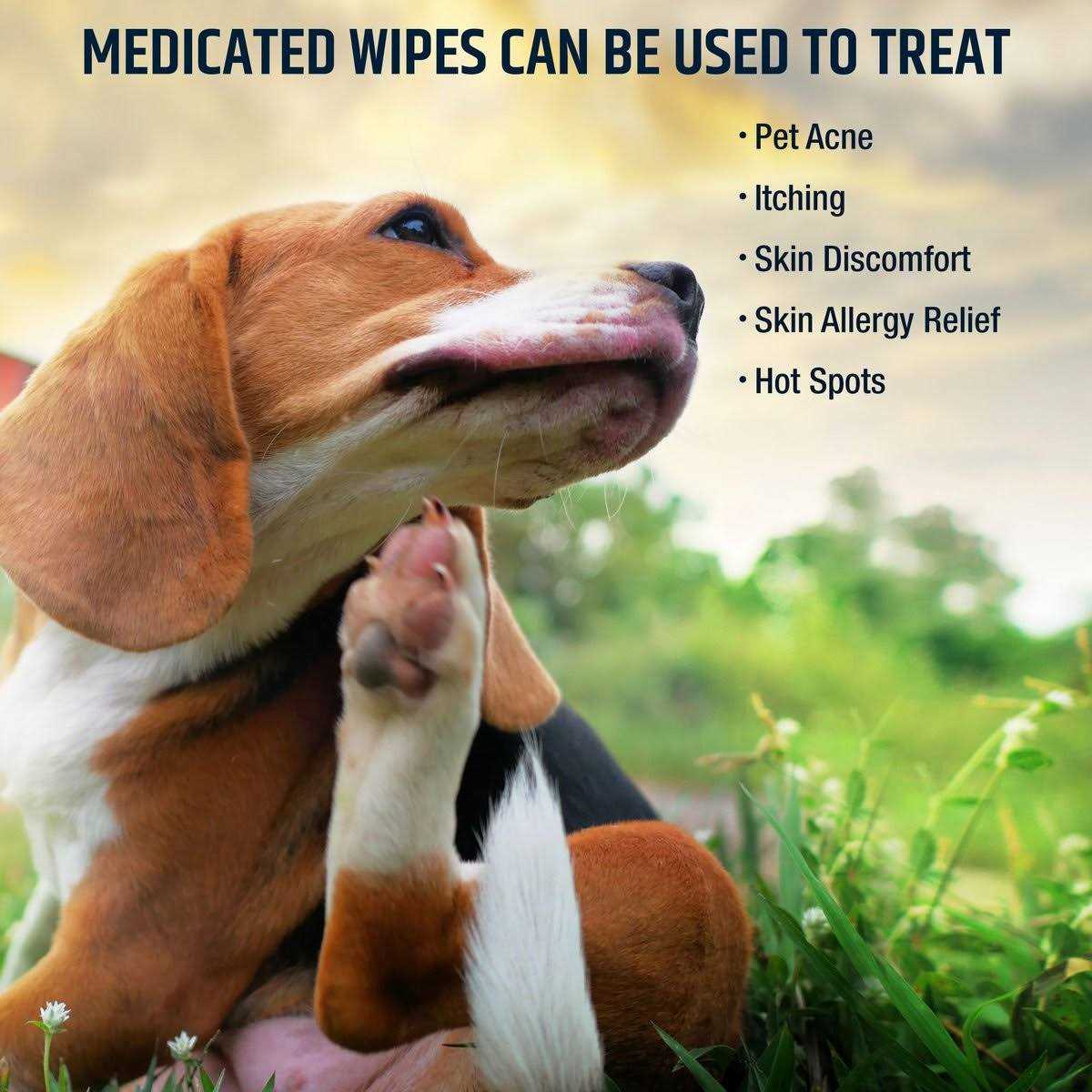 Chlorhexidine Dog & Cat Wipes S1836