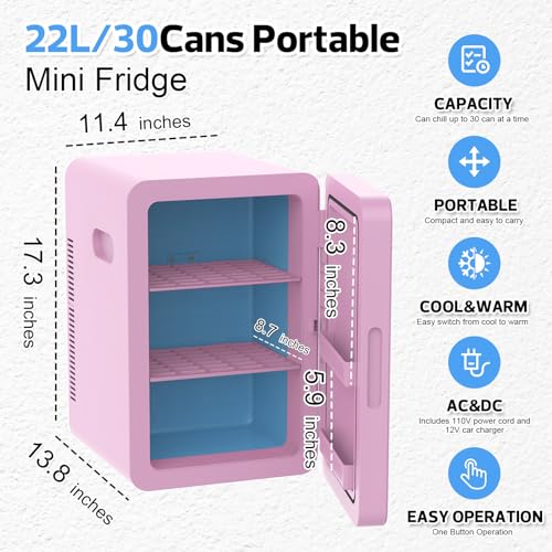 22L Mini Fridge Portable Cooler Warmer Compact Refrigerators with AC/DC Power N488