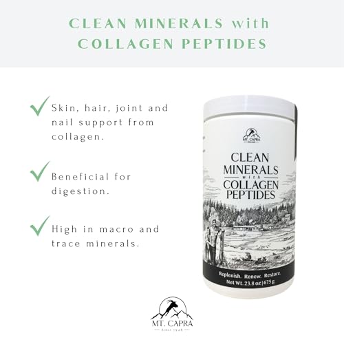 Hot Cocoa Clean Minerals with Collagen Peptides 675 G V617788