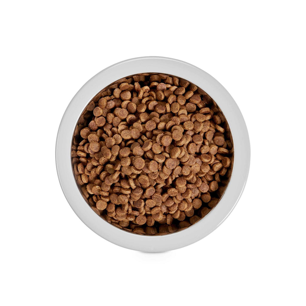 Stainless-Steel Grey Dog Bowl T12490