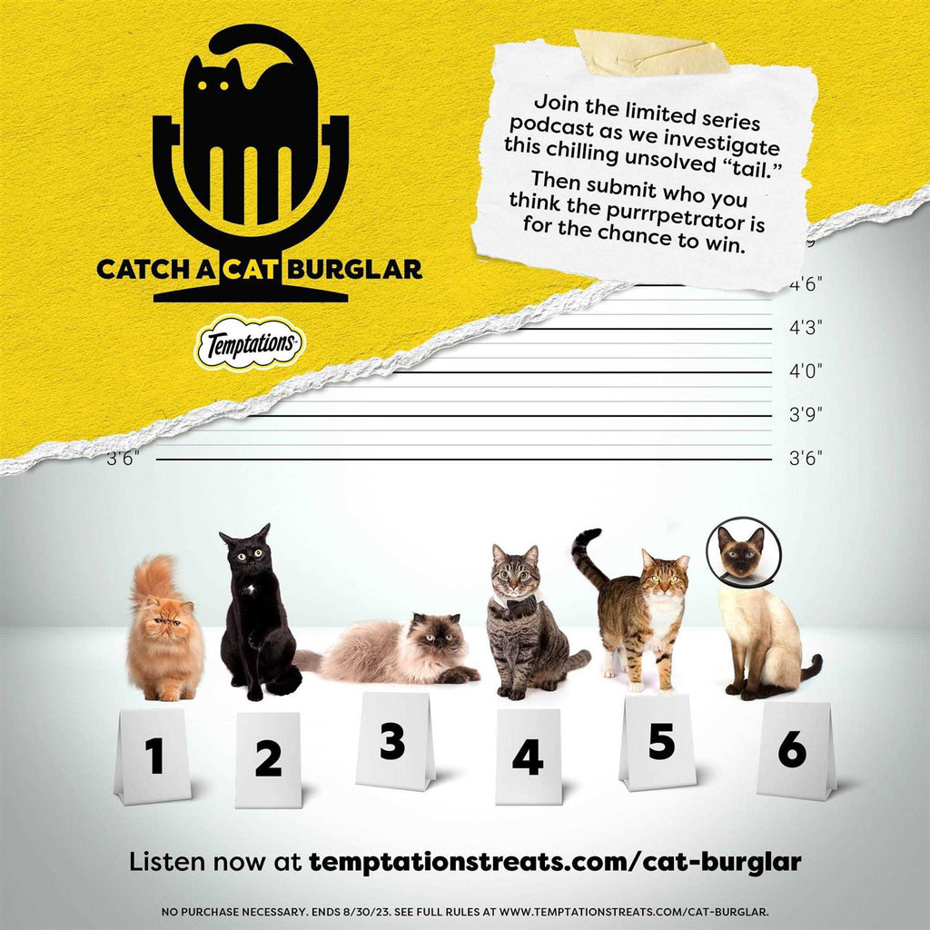 Treat Dispensing Cat Toy R2306