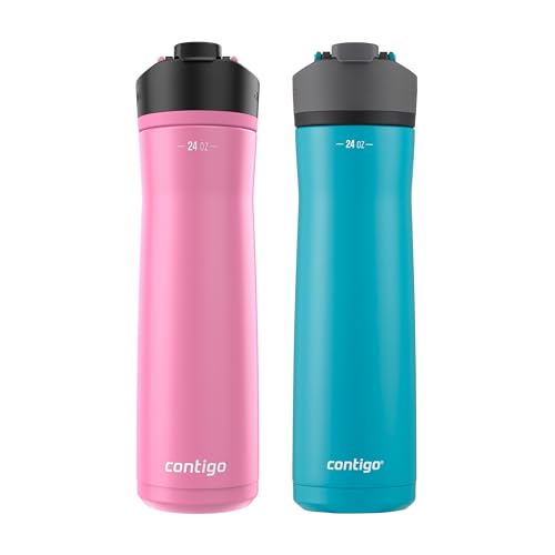Vacuum-Insulated Stainless Steel Water Bottle 24oz 2-Pack L70517