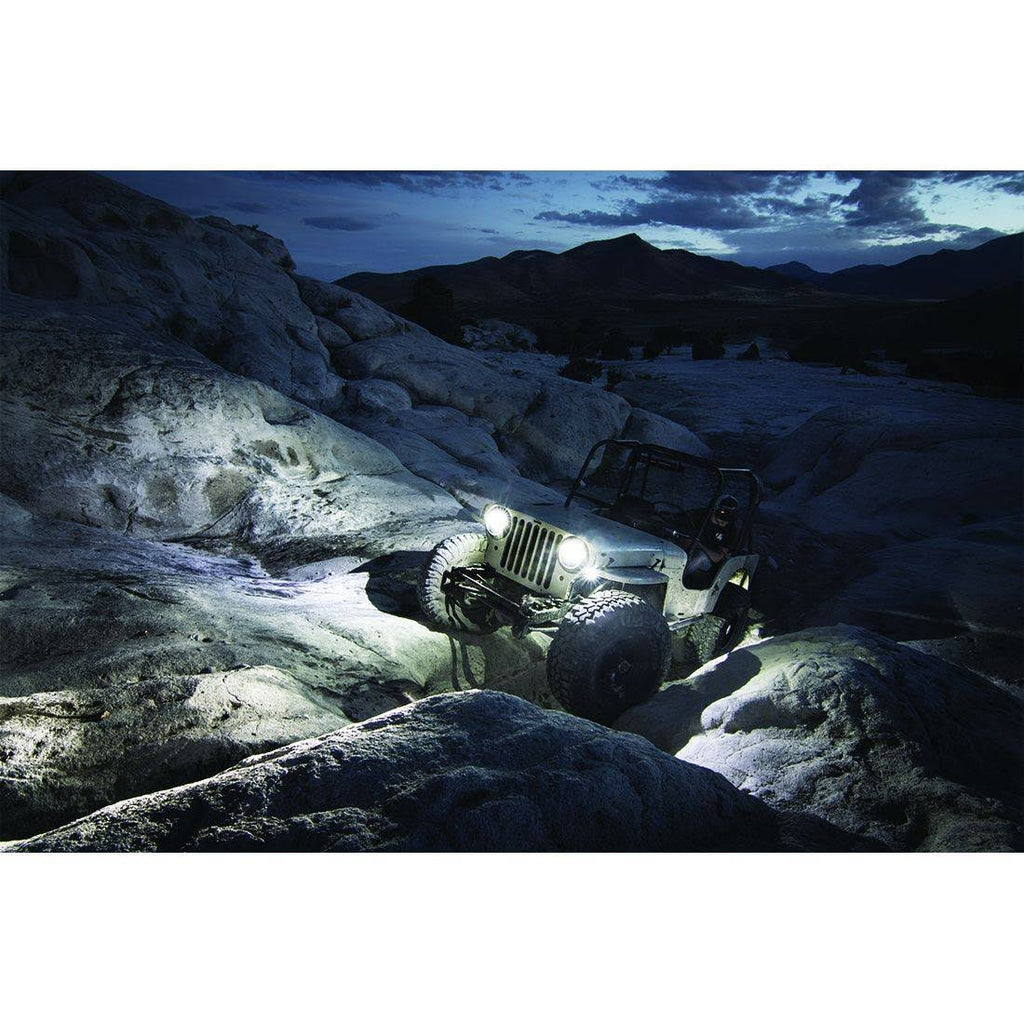 Amber Rock Light Kit (4) O133360