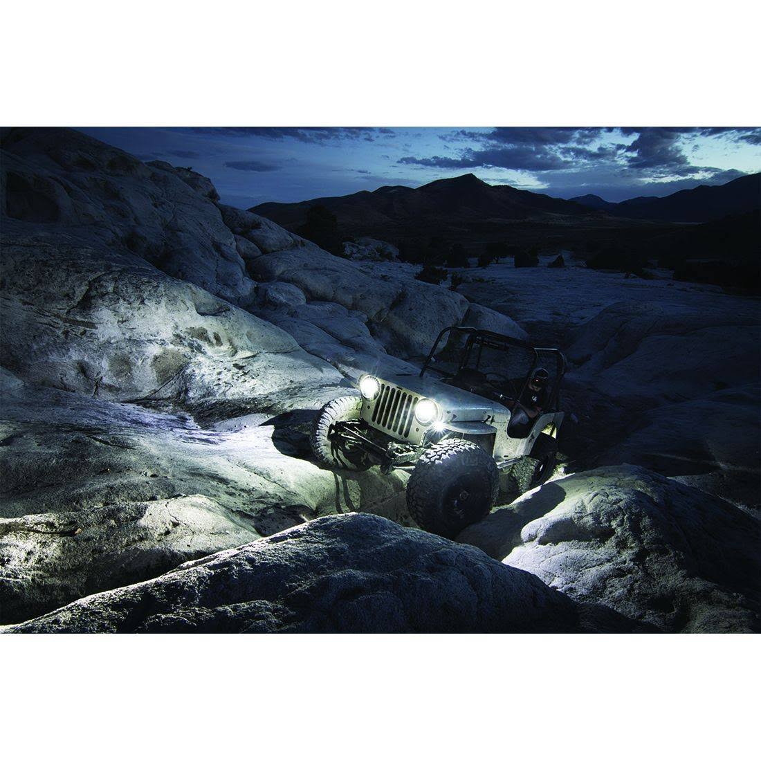 Amber Rock Light Kit (4) O133360