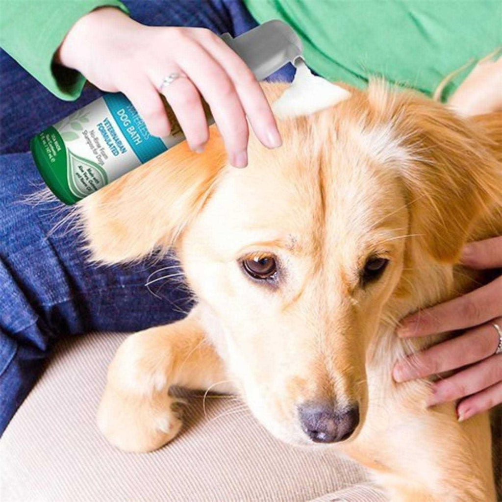 Waterless Dog Bath I427