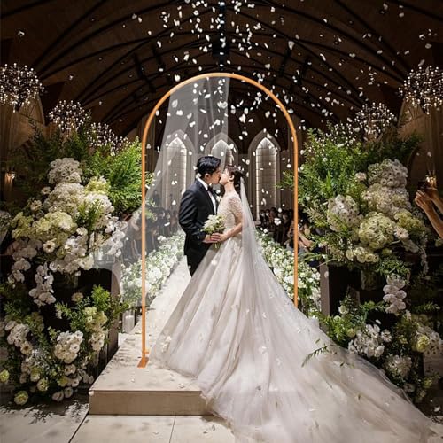 7.2FT Gold Metal Arch Backdrop Stand X163015