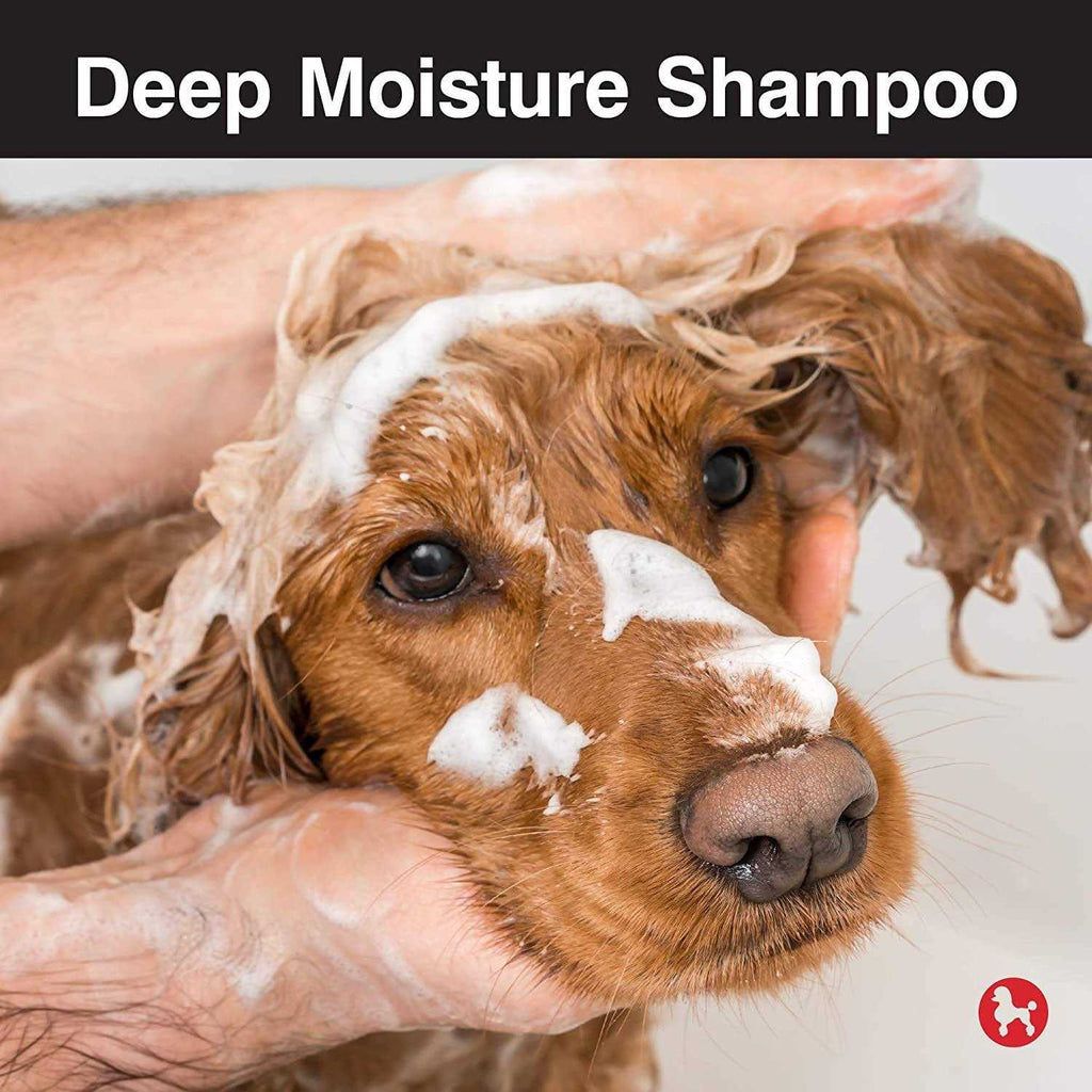 Dog Deep Moisture Shampoo Z780