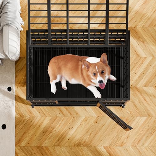 48 inch Heavy Duty Dog Crate with Lockable Wheels, Double Door, Removable Tray, Black A524