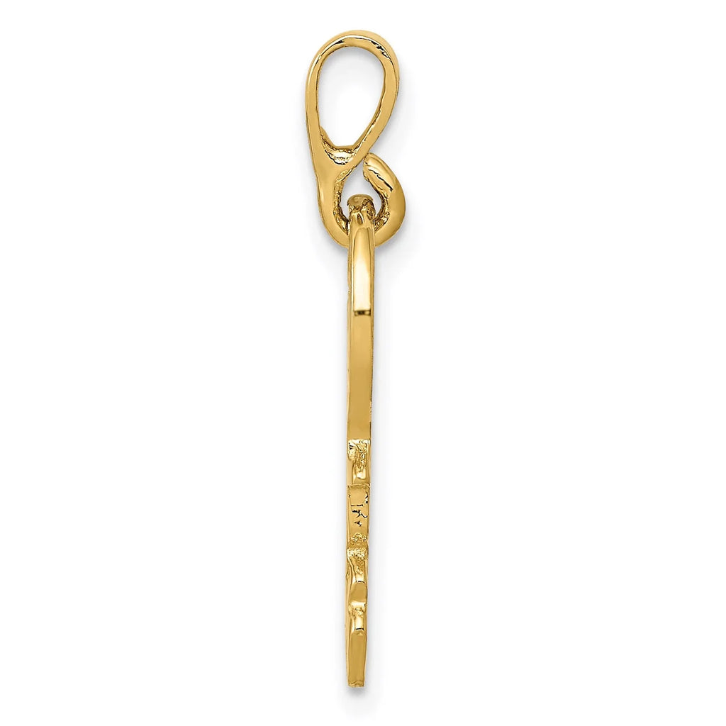 14K Yellow Gold Polished Key Pendant Charm With 10K Yellow Gold Rope Chain Necklace 16'' G686