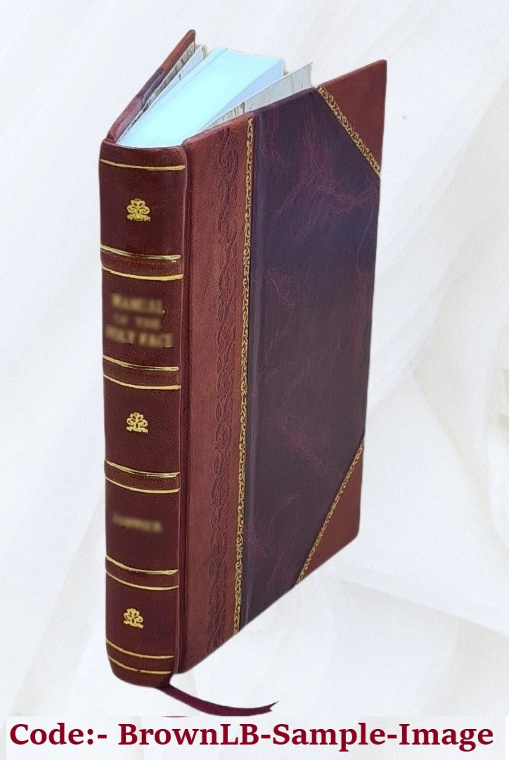 Leather Bound Book P38546