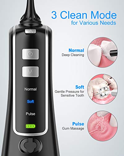 300ML Portable USB Rechargeable Water Flosser with 4 Jet Tips L3300