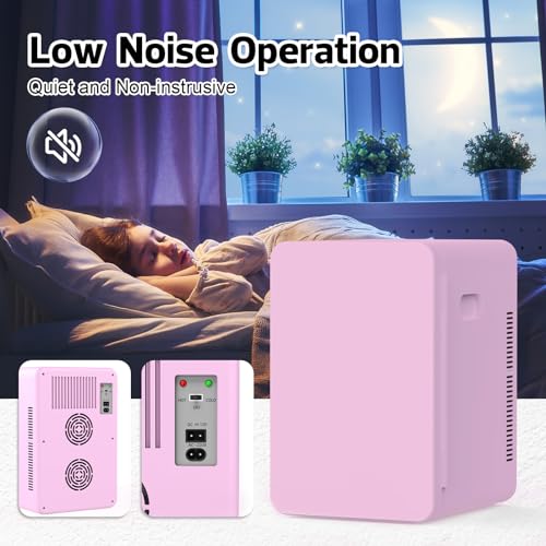 22L Mini Fridge Portable Cooler Warmer Compact Refrigerators with AC/DC Power N488