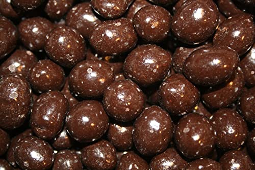Dark Chocolate Covered Peanuts (2LBS) N538