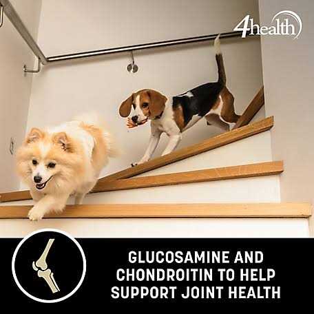 Adult Chicken and Rice Formula Dry Dog Food R148837