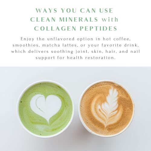 Hot Cocoa Clean Minerals with Collagen Peptides 675 G V617788