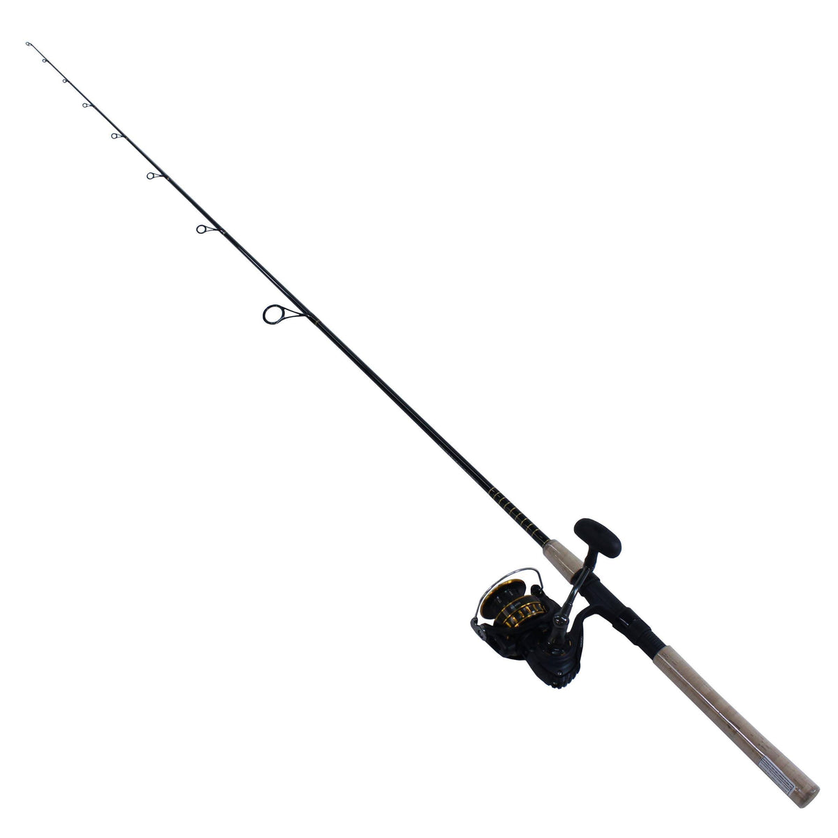 Saltwater Spinning Combo E9665