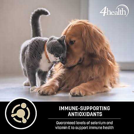 Adult Chicken and Rice Formula Dry Dog Food R148837