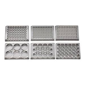 12 Well Tissue Culture Plate with Lid, Sterile I5718