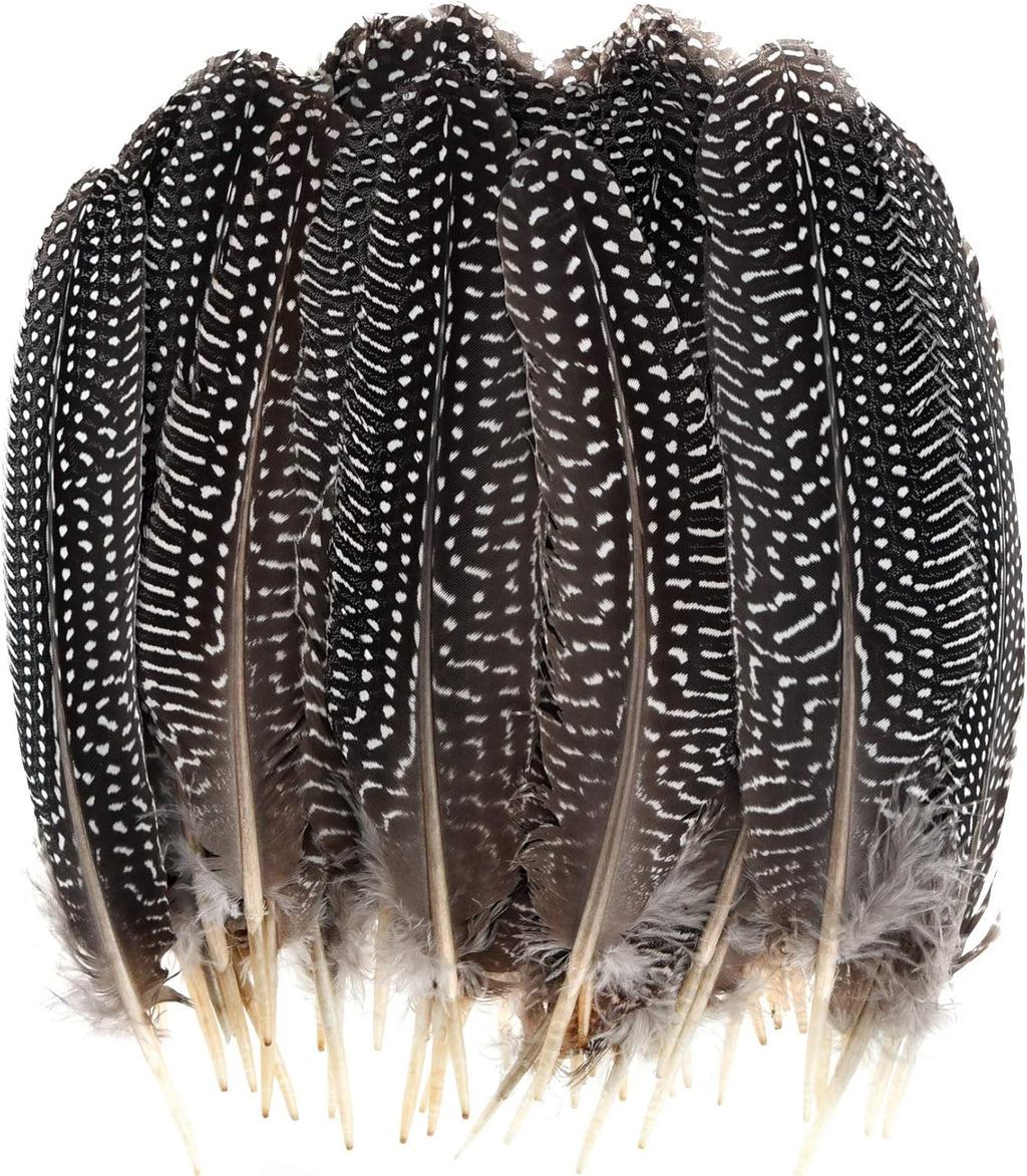 50 Pcs 15-20cm Natural Spotted Pheasant Feathers D518
