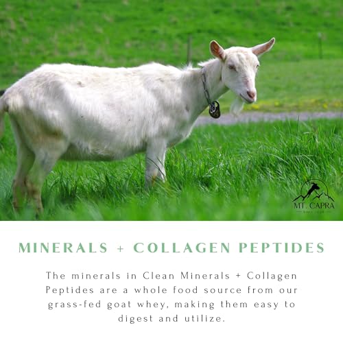Hot Cocoa Clean Minerals with Collagen Peptides 675 G V617788