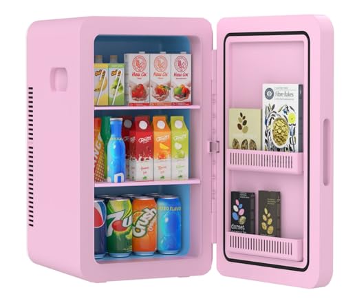 22L Mini Fridge Portable Cooler Warmer Compact Refrigerators with AC/DC Power N488
