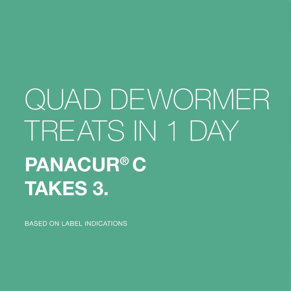 Large Dog Dewormer Q415
