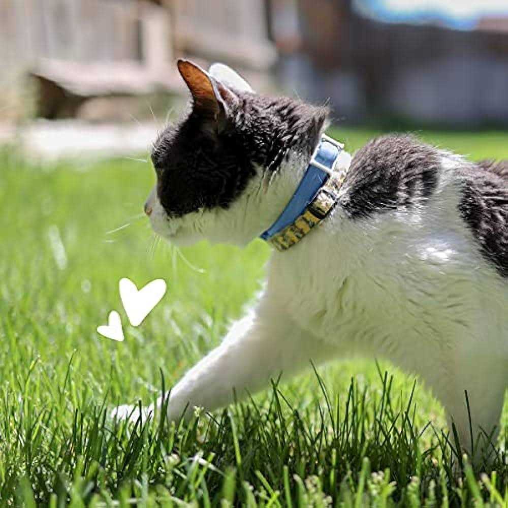 Flea & Tick Collar for Cats H59600