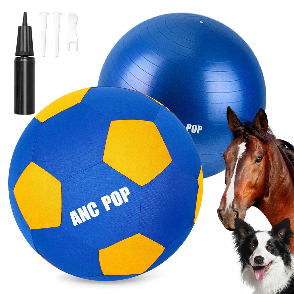 Herding Ball with Hand Pump Z3195